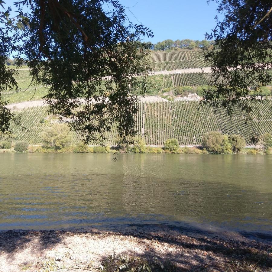 Fewo Sonnenlay - Apartments An Der Mosel Brauneberg Exteriör bild