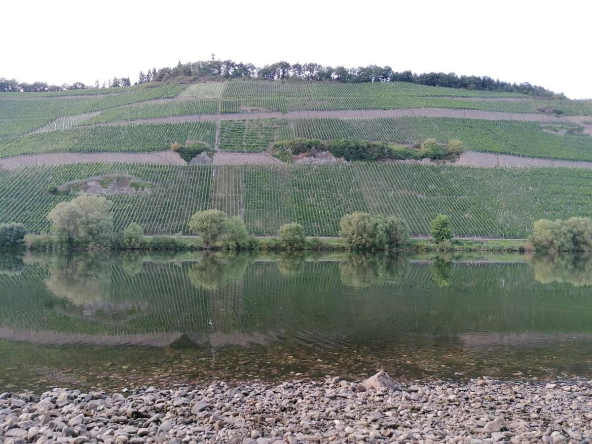 Fewo Sonnenlay - Apartments An Der Mosel Brauneberg Exteriör bild