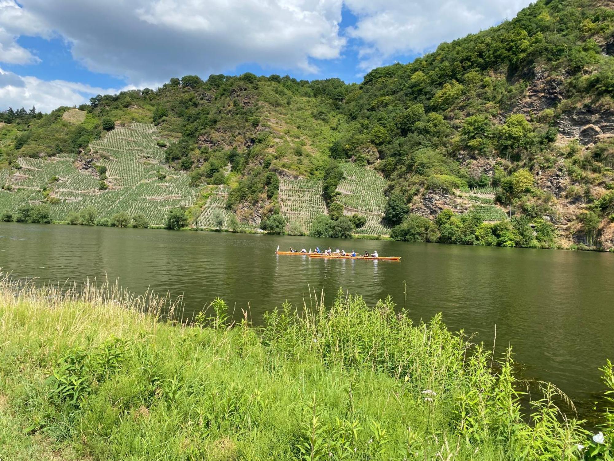 Fewo Sonnenlay - Apartments An Der Mosel Brauneberg Exteriör bild
